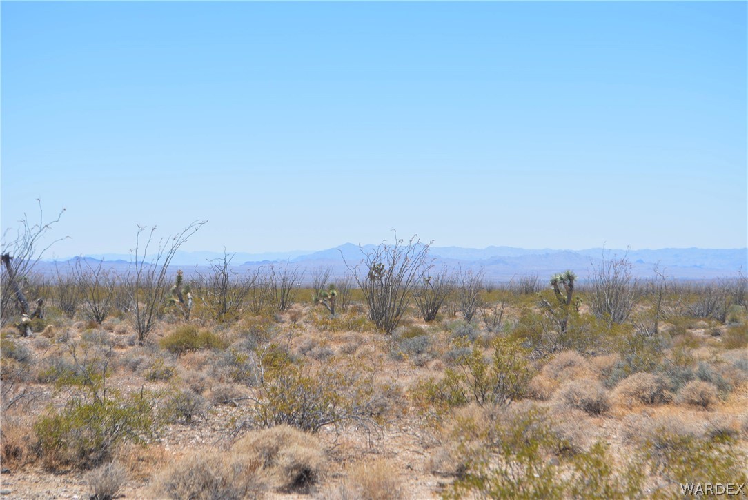 Lot C3 Ruby Road Yucca, AZ 86438 - Photo 8 of 49 a view of a yard with a mountain