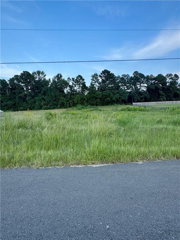 131 Meadow Lane Pollock, LA 71467 - Photo 2 of 3