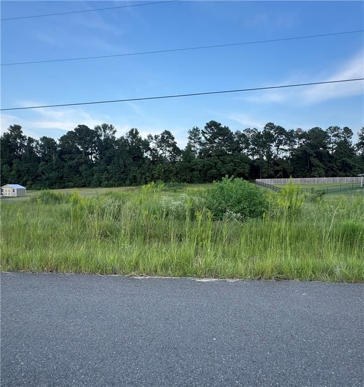 131 Meadow Lane Pollock, LA 71467 - Photo 3 of 3