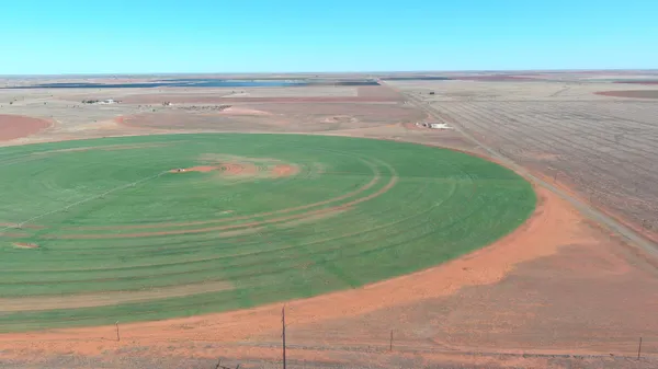 $374,602 | 2134 Farm To Market Road 1939, Seagraves, TX 79359