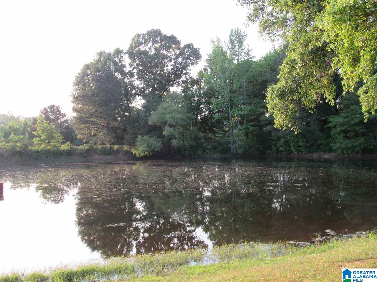 210 Shirey Lane Calera, AL 35040 - Photo 14 of 38