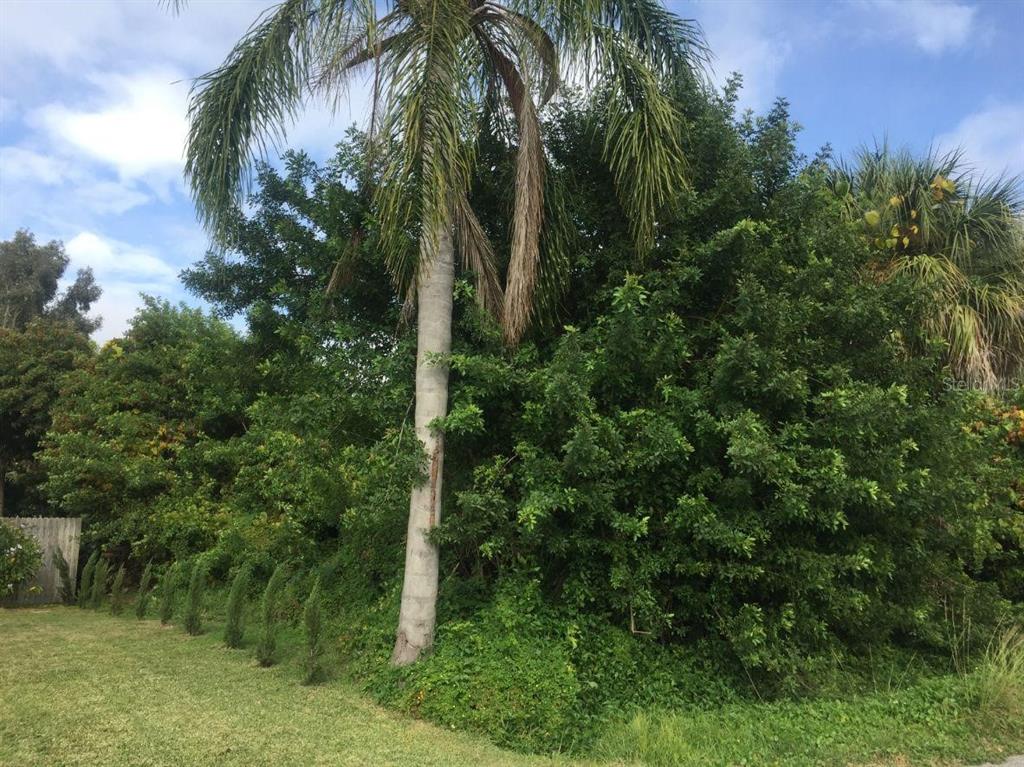 Argus Road Venice, FL 34293 - Photo 1 of 1