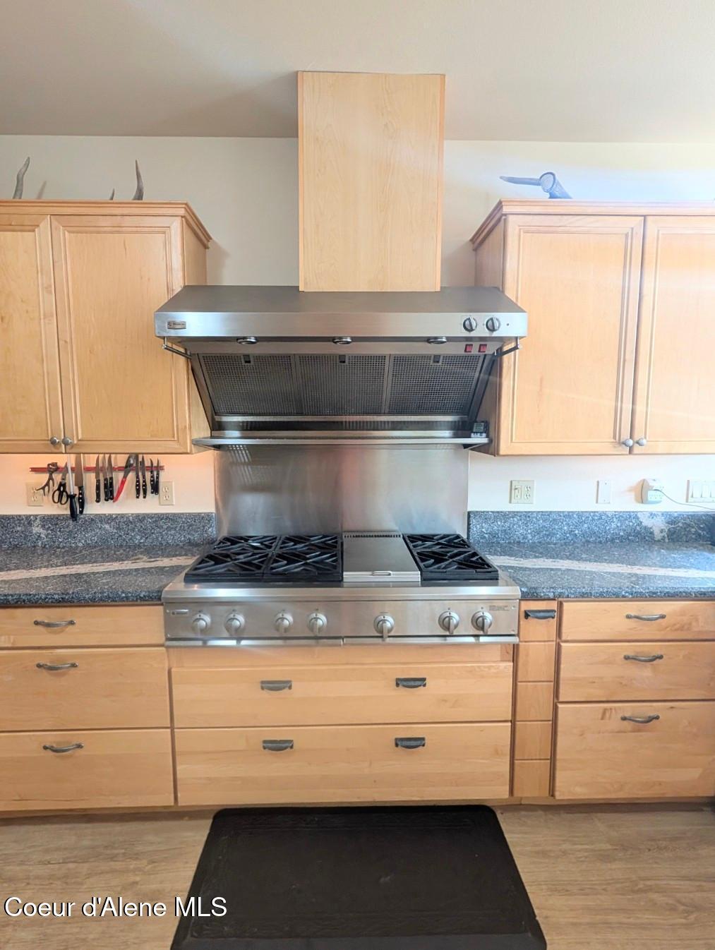 845 Cougar Road Naples, ID 83847 - Photo 16 of 85 Commercial grade oven and hood