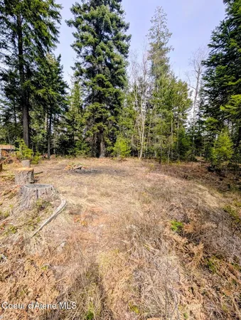 $879,000 | 845 Cougar Road, Naples, ID 83847