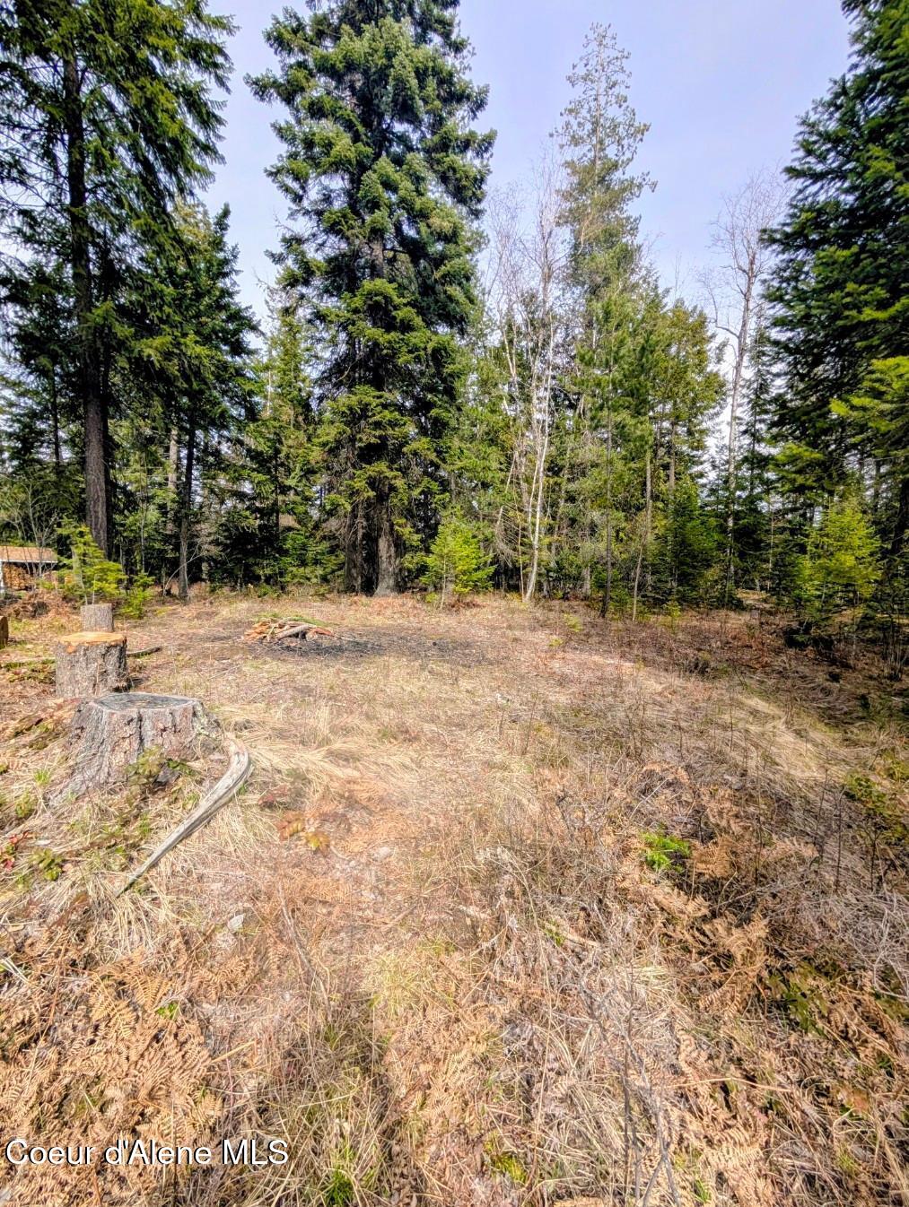 845 Cougar Road Naples, ID 83847 - Photo 79 of 85 Play area