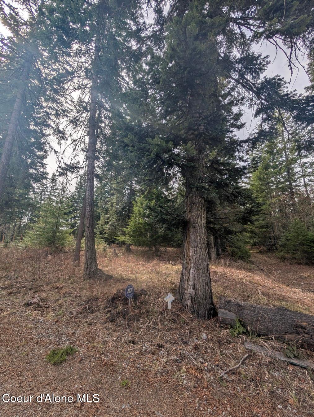 845 Cougar Road Naples, ID 83847 - Photo 83 of 85 Great spot for an ADU