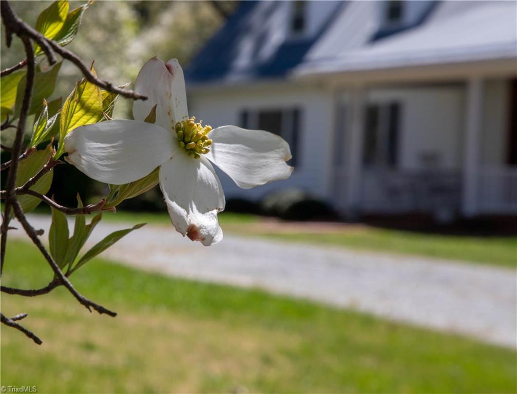 559 Welcome-Arcadia Road Lexington, NC 27295 - Photo 2 of 37 Gallery Image 2