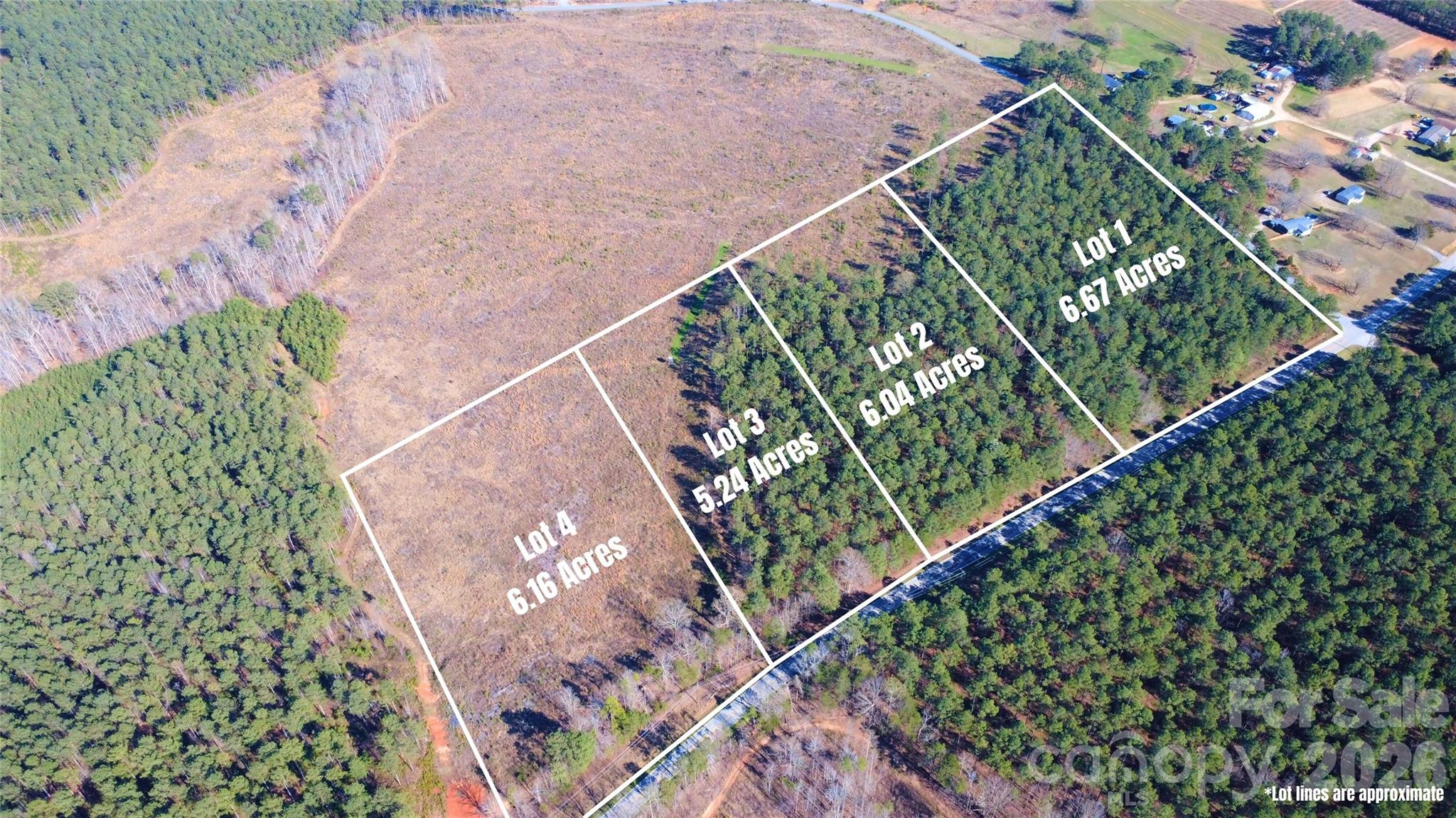 0 Bobby Faucette Road, Unit 3 Jonesville, SC 29353 - Photo 3 of 18