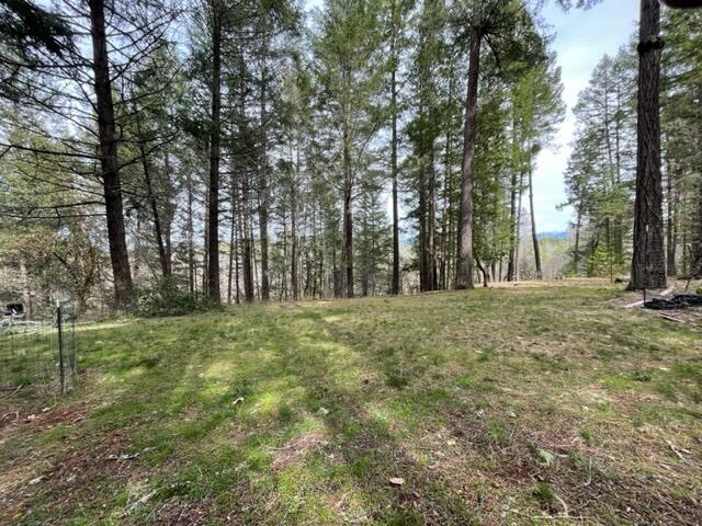 5601 West Side Road Cave Junction, OR 97523 - Photo 15 of 33 IMG_9324