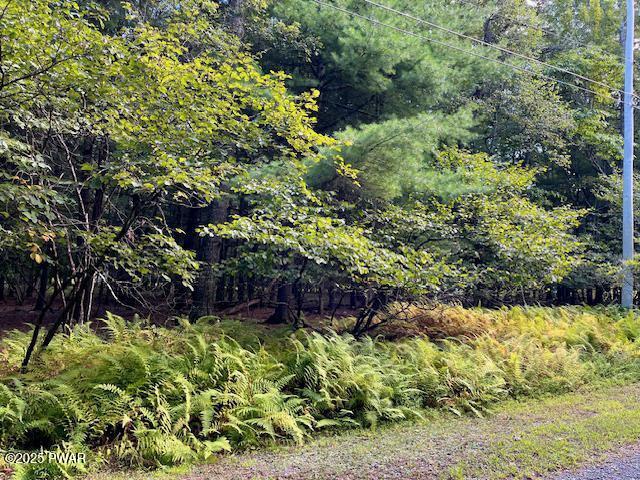 Lot 235 Hound Road Dingmans Ferry, PA 18328 - Photo 2 of 7