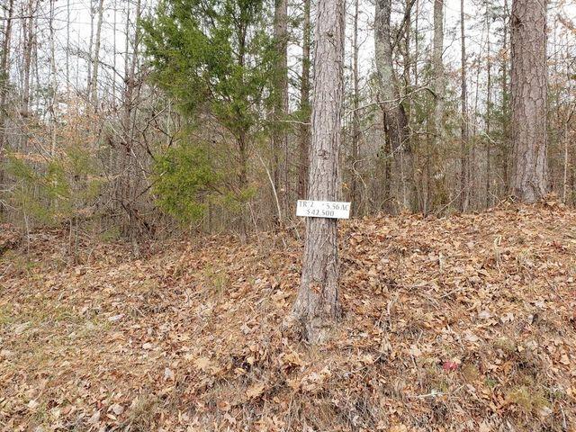 Lot 2 County Road 187 Decatur, TN 37322 - Photo 1 of 3 20191203174526470704000000-o