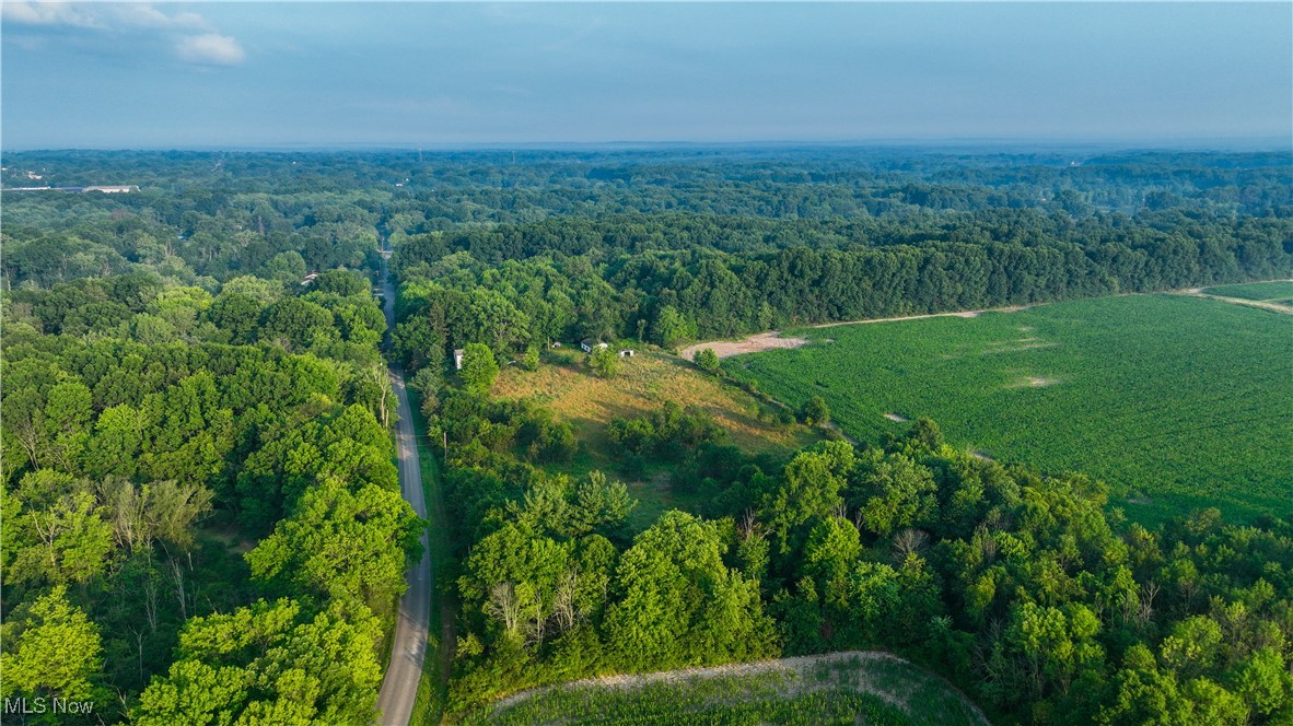 22600 Lexington Road Alliance, OH 44601 - Photo 10 of 39 Bird's eye view