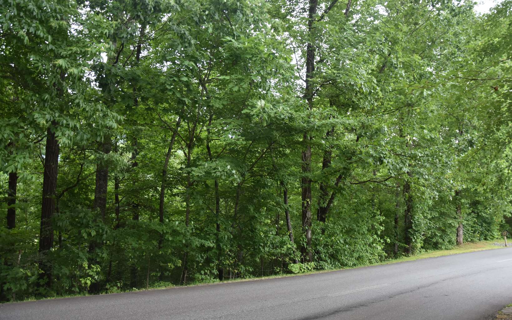 85 A Licklog Ridge Hayesville, NC 28904 - Photo 12 of 52 Additional View