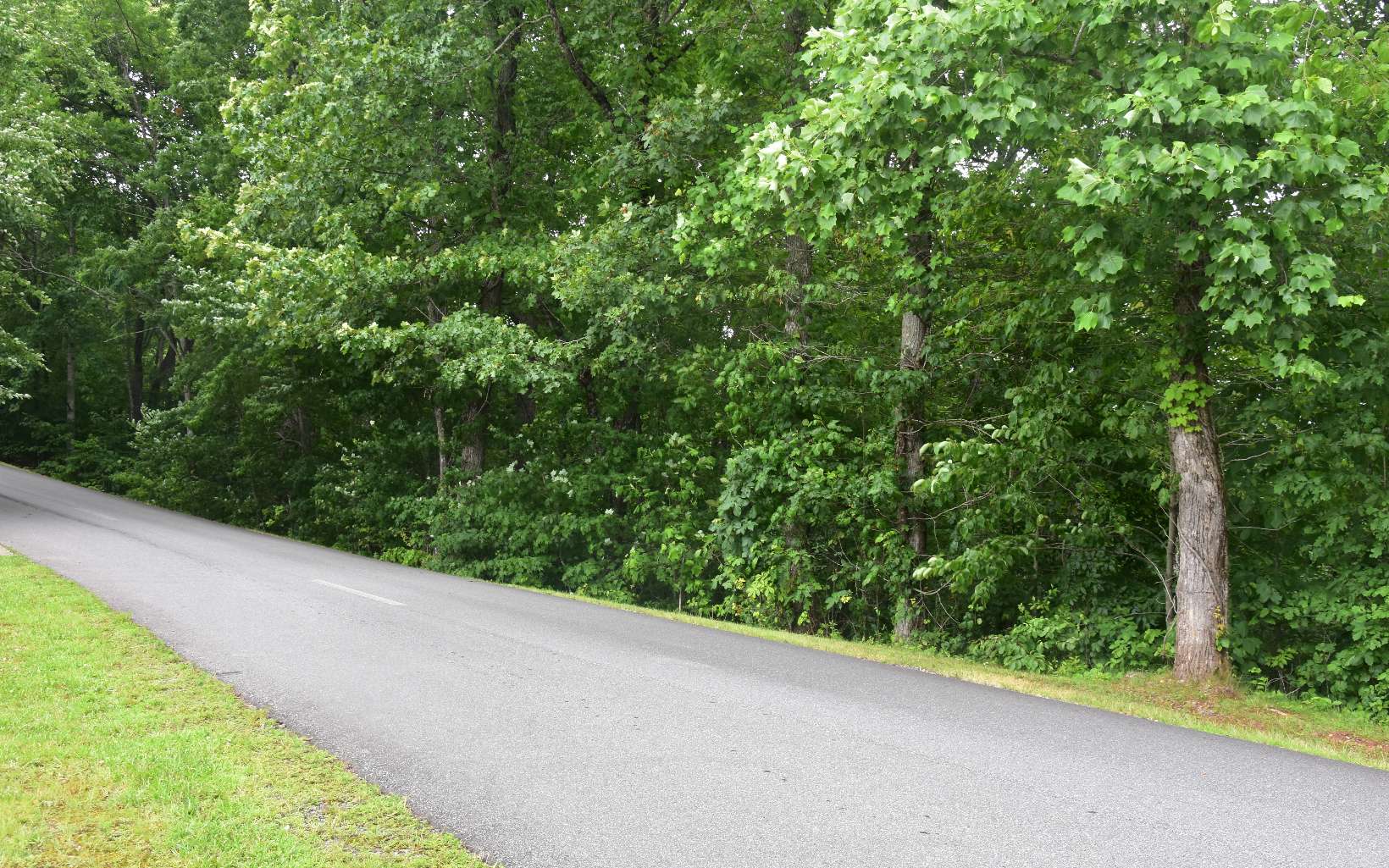 85 A Licklog Ridge Hayesville, NC 28904 - Photo 13 of 52 Additional View