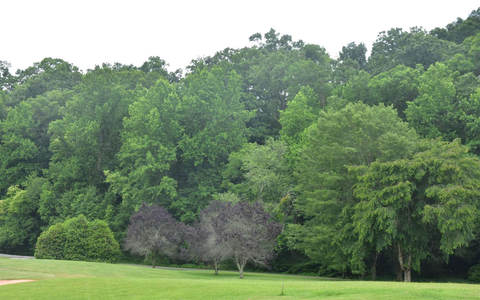 85 A Licklog Ridge Hayesville, NC 28904 - Photo 15 of 52 Additional View