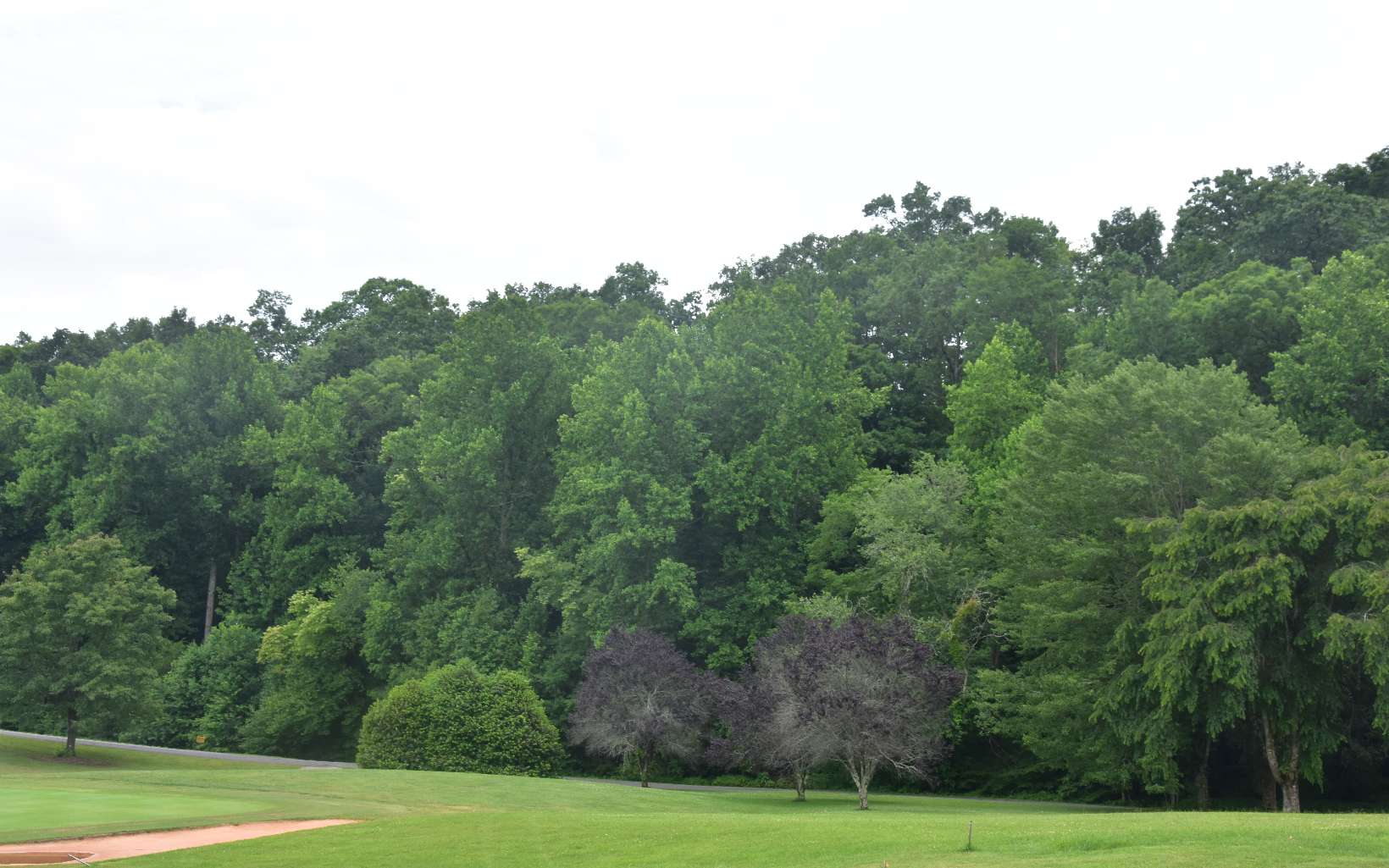 85 A Licklog Ridge Hayesville, NC 28904 - Photo 2 of 52 Additional View