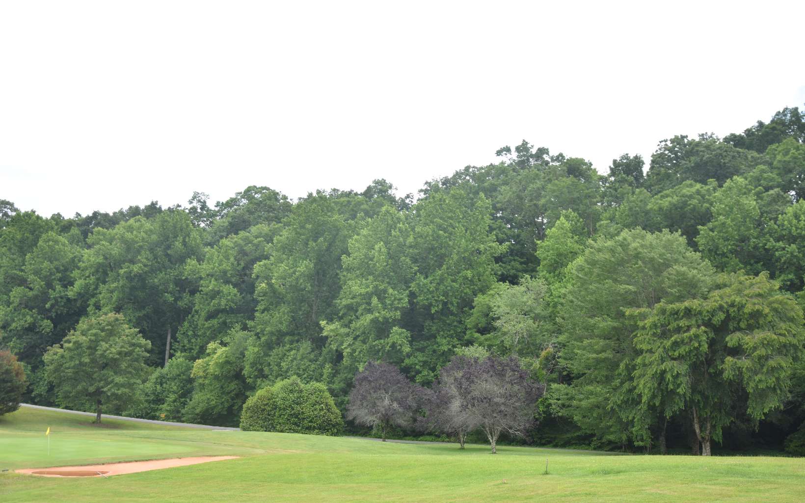 85 A Licklog Ridge Hayesville, NC 28904 - Photo 3 of 52 Additional View