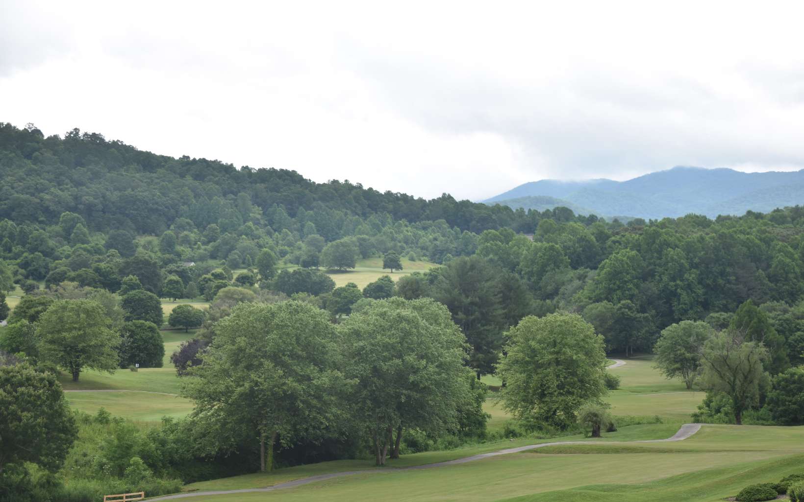 85 A Licklog Ridge Hayesville, NC 28904 - Photo 41 of 52 Additional View