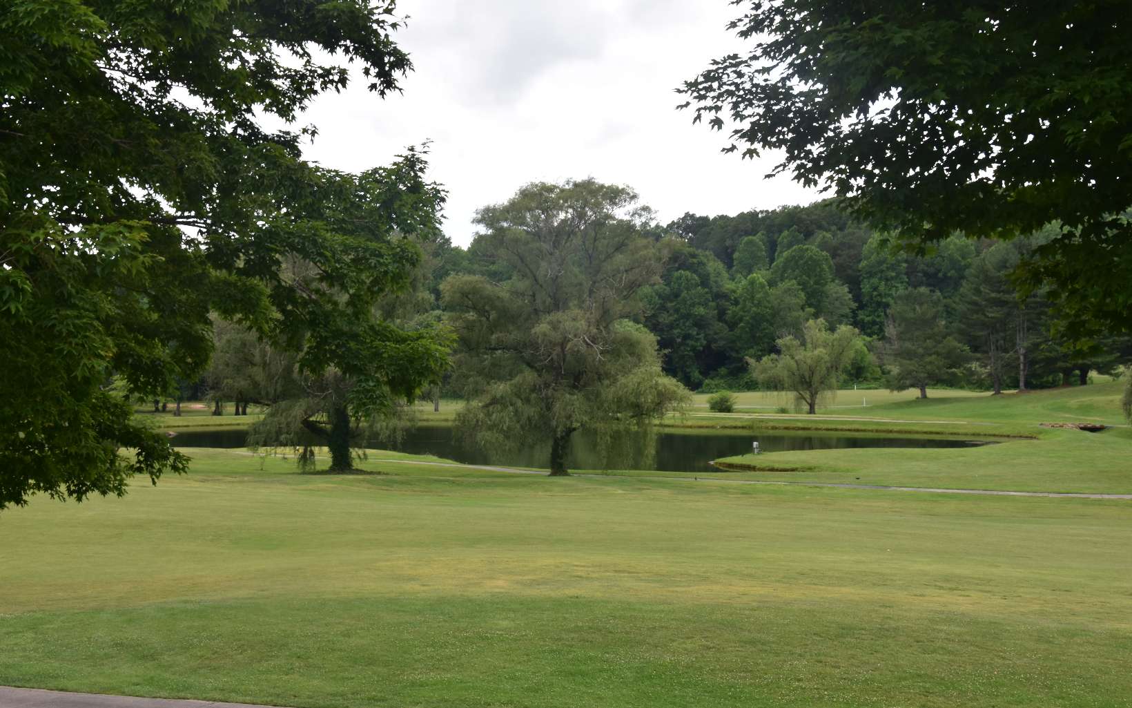 85 A Licklog Ridge Hayesville, NC 28904 - Photo 48 of 52 Additional View