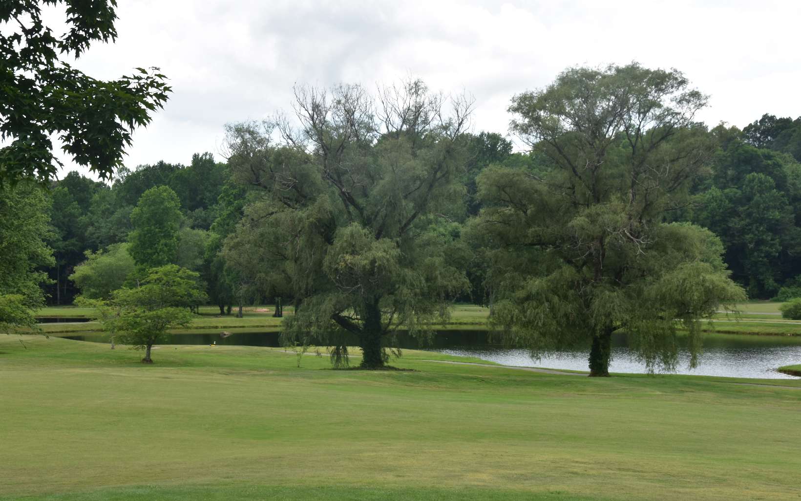 85 A Licklog Ridge Hayesville, NC 28904 - Photo 50 of 52 Additional View