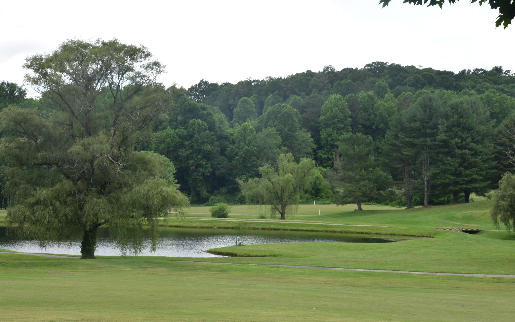 85 A Licklog Ridge Hayesville, NC 28904 - Photo 51 of 52 Additional View