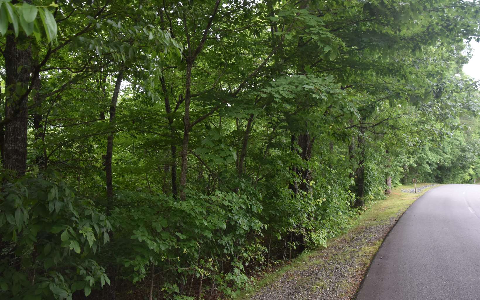 85 A Licklog Ridge Hayesville, NC 28904 - Photo 8 of 52 Additional View