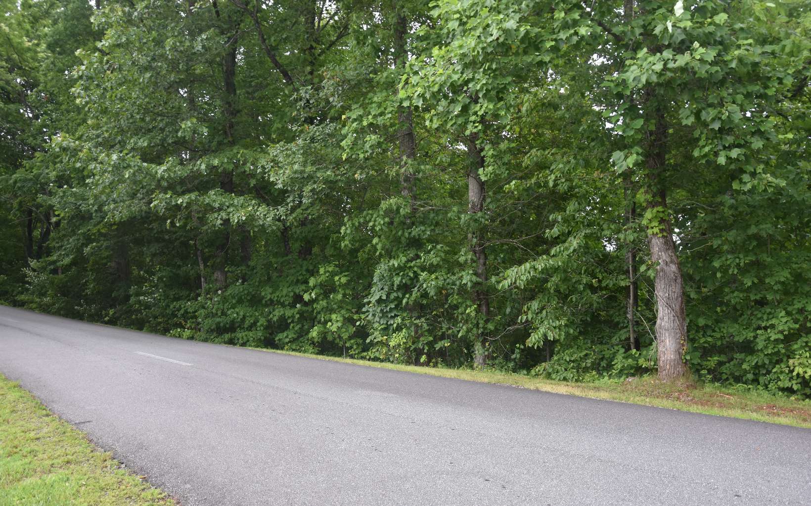 85 A Licklog Ridge Hayesville, NC 28904 - Photo 9 of 52 Additional View