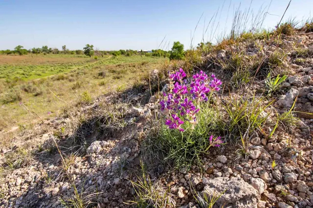 a view of an ocean from a city