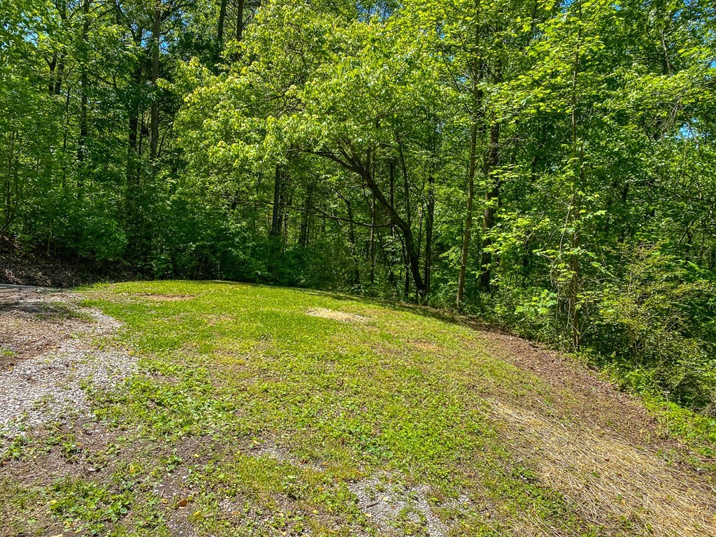 147 Little Emory Rd Lane Harriman, TN 37748 - Photo 37 of 40 Gallery Image 37