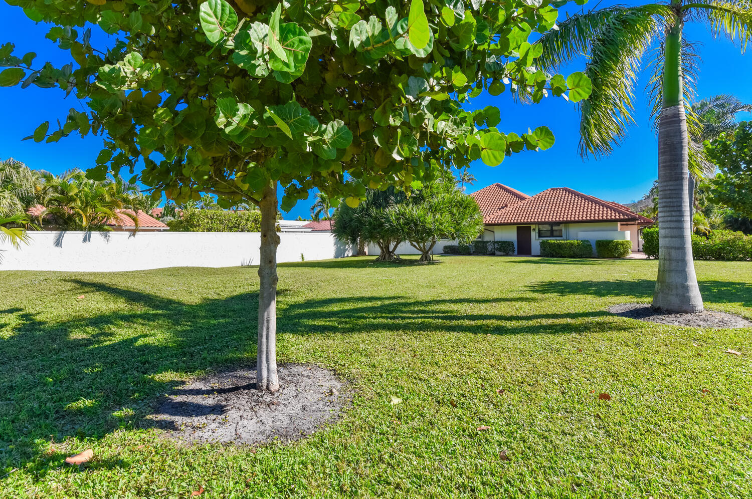 1469 Vía Privada Jupiter, FL 33477 - Photo 2 of 38 a view of a park with large trees