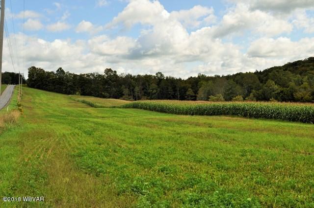 0 Brick Church Road Liberty, PA 16930 - Photo 1 of 11 VIEW 1
