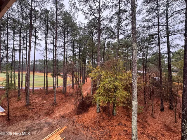 $529,900 | 432 Redwater Trail, Unit 595, Aberdeen, NC 28315