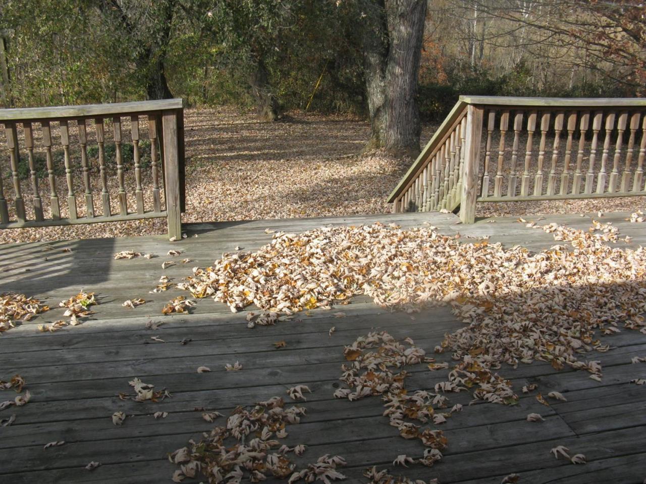 4001 Beech Grove Road Science Hill, KY 42553 - Photo 26 of 28 Additional Photo