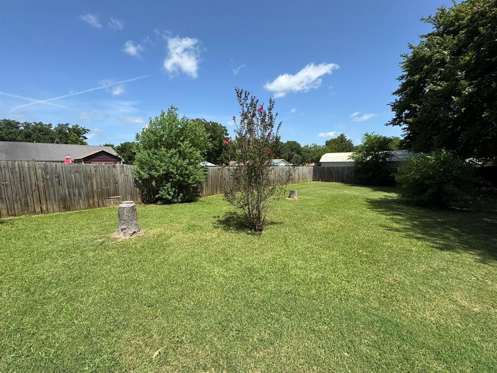 705 East James Street Wills Point, TX 75169 - Photo 22 of 26 a view of a garden with a fountain