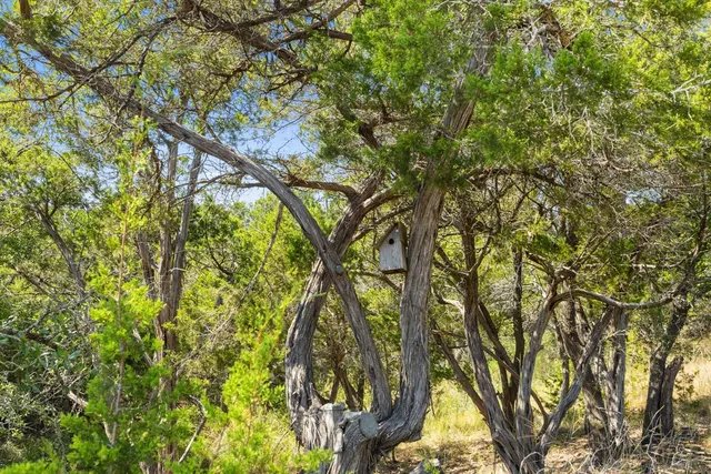 $782,375 | 5818 Ranch Road, Unit 3, Blanco, TX 78606