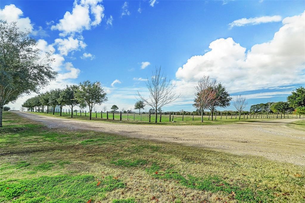 19204 Farm To Market 359 Hempstead, TX 77445 - Photo 11 of 24