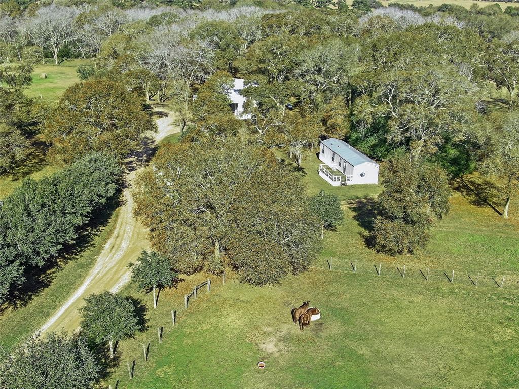 19204 Farm To Market 359 Hempstead, TX 77445 - Photo 5 of 24