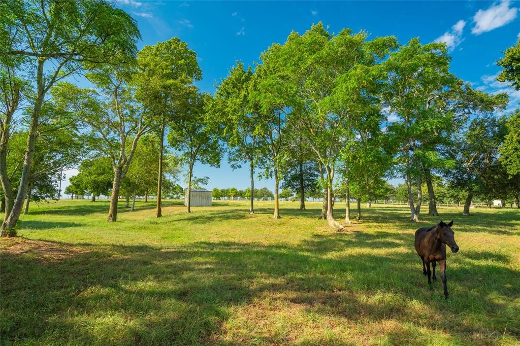 19204 Farm To Market 359 Hempstead, TX 77445 - Photo 7 of 24