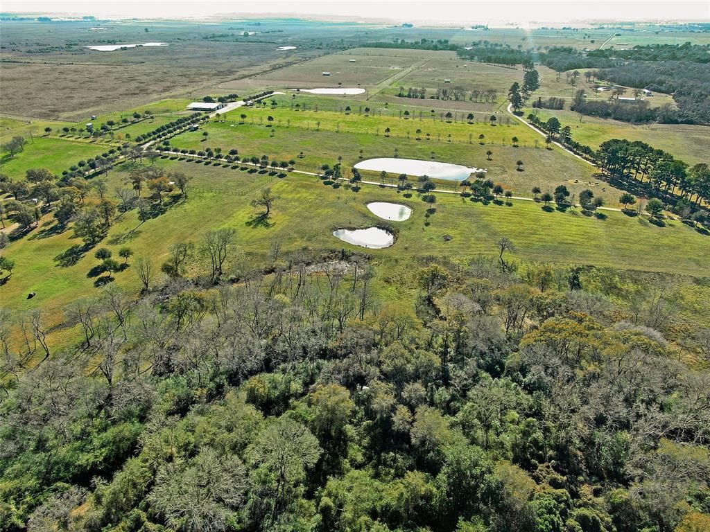 19204 Farm To Market 359 Hempstead, TX 77445 - Photo 9 of 24