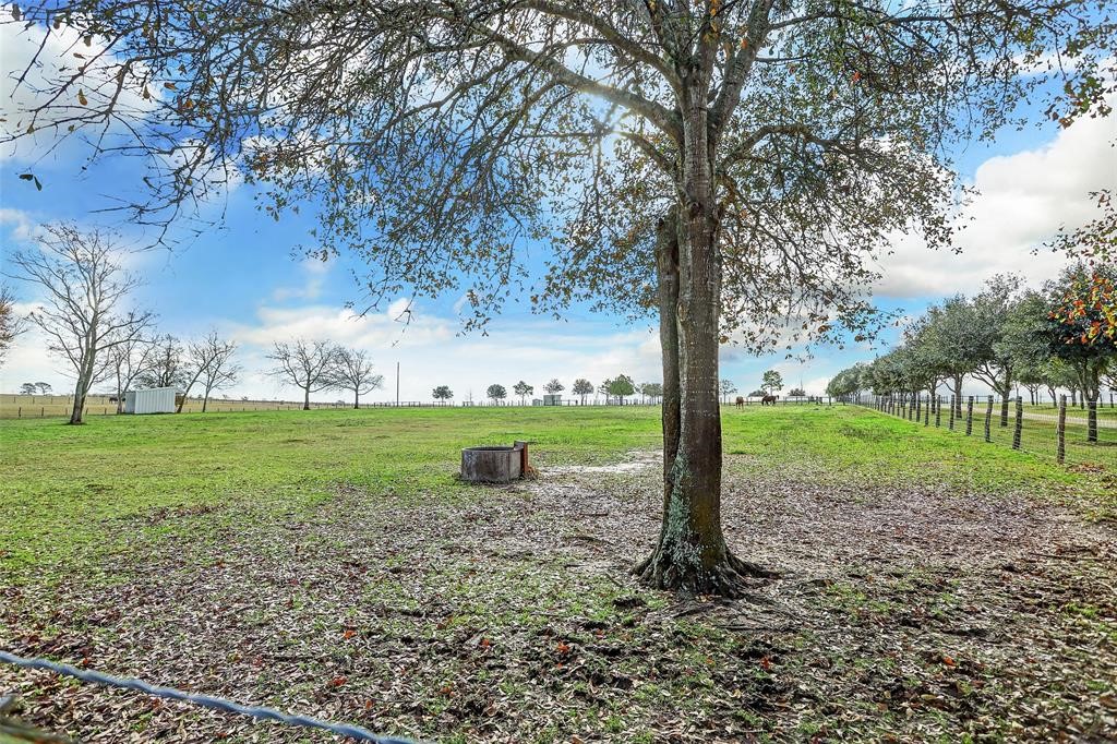 19204 Farm To Market 359 Hempstead, TX 77445 - Photo 10 of 24