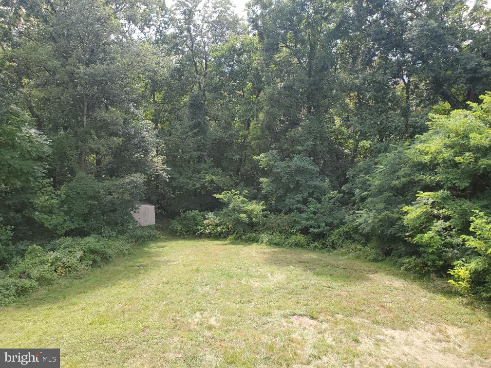 539 Highridge Road Front Royal, VA 22630 - Photo 16 of 19