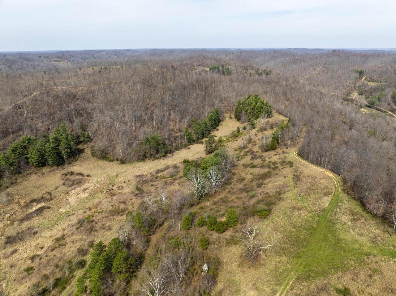 60 Us Grayson, KY 41164 - Photo 10 of 12