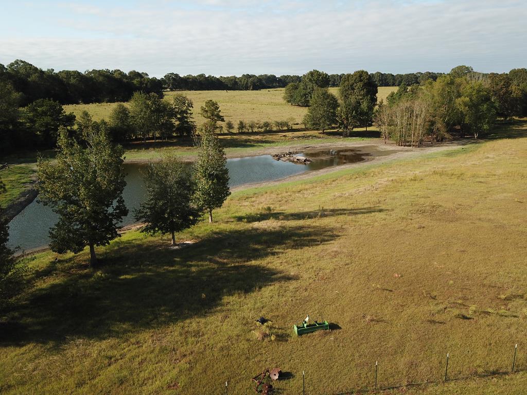243 Buck Stuart Road Poplarville, MS 39470 - Photo 1 of 1 Main View