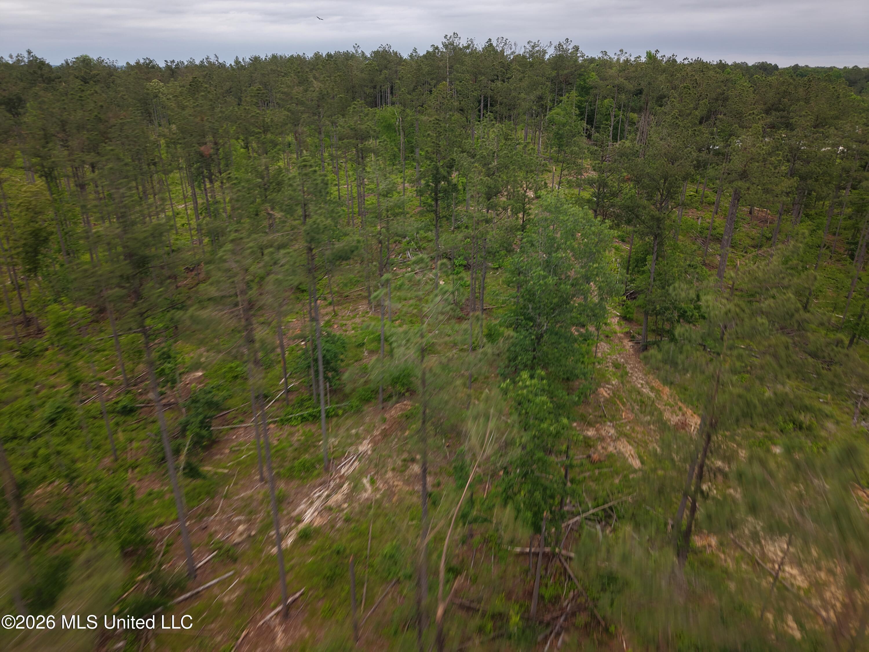 Graysport Crossing Road Gore Springs, MS 38929 - Photo 15 of 16 dji_fly_20260505_112938_0207_17797570140