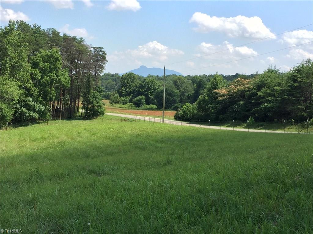 1221 Chestnut Ridge Road Pilot Mountain, NC 27041 - Photo 14 of 30 Gallery Image 14