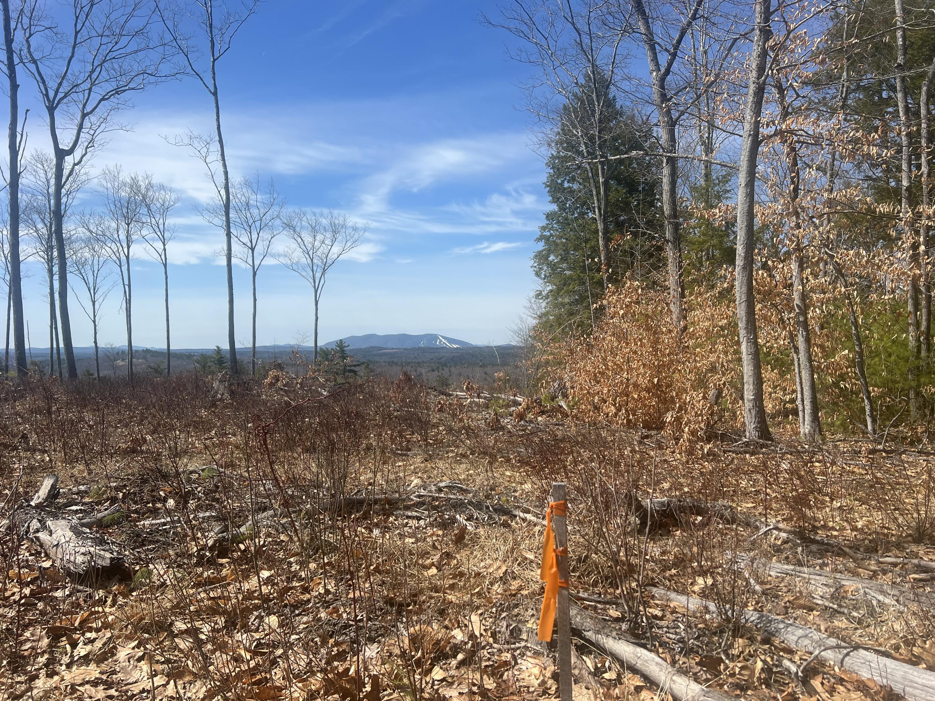 Tbd Deer Hill Road Harrison, ME 04040 - Photo 11 of 14 IMG_0291
