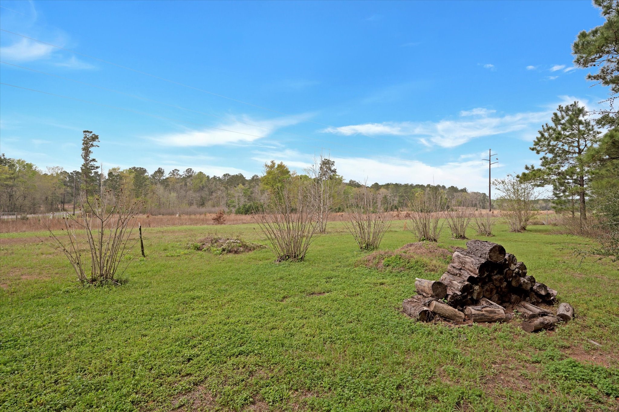 31 Rose Hill Road Coldspring, TX 77331 - Photo 33 of 34 Confederate Rose Bushes line back of property