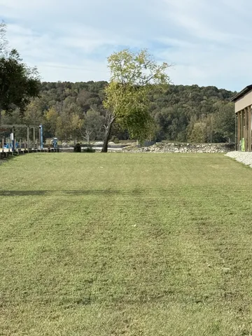 a view of a field with an ocean