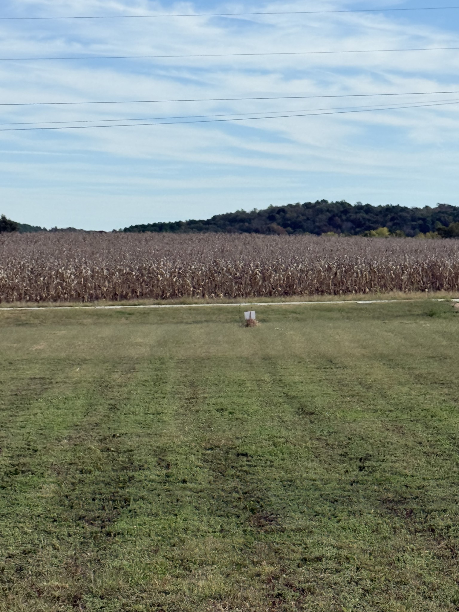 313 Hardin Bottom River Road Clifton, TN 38425 - Photo 16 of 21 a view of a ocean view