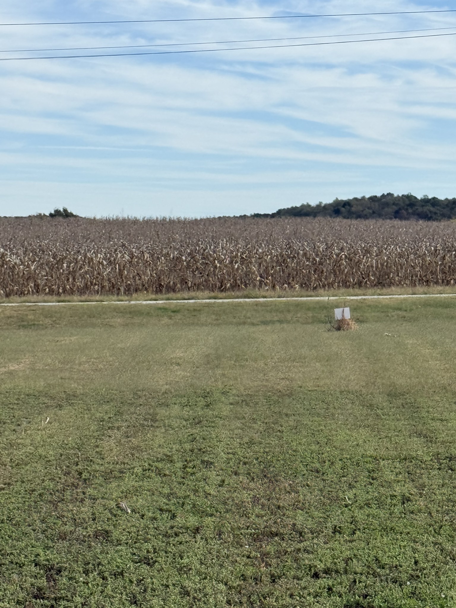 313 Hardin Bottom River Road Clifton, TN 38425 - Photo 17 of 21 a view of a lake view